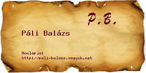 Páli Balázs névjegykártya